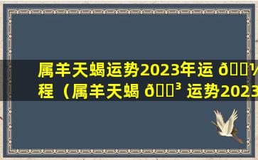 属羊天蝎运势2023年运 🐼 程（属羊天蝎 🌳 运势2023年运程如何）